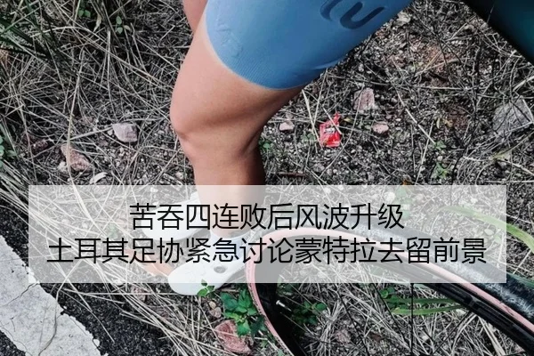 苦吞四连败后风波升级 土耳其足协紧急讨论蒙特拉去留前景
